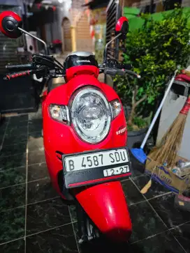 New Scoopy donat