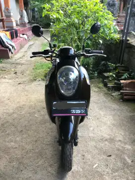 Honda Scoopy 2014