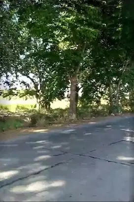 Tanah Zona Pergudangan dan Industri Di Sukodono, Sawocangkring Sidoaro