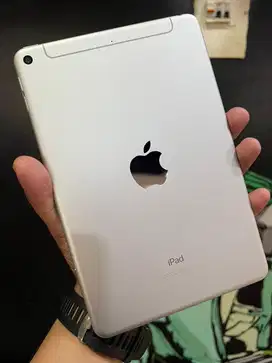 iPad Mini 5 256 GB Wifi Cell