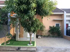 RUMAH GRIYA SUTOREJO ASRI SURABAYA  AREA STRATEGIS MURAH RON.A274