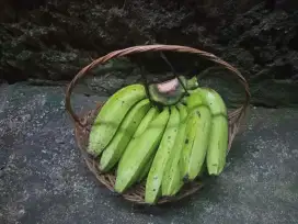 Pisang Ambon Lumut