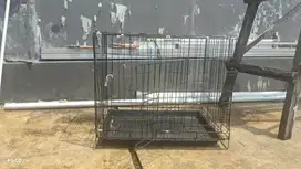 Kandang Kucing nominus