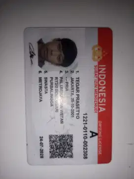 Driver mobil barang