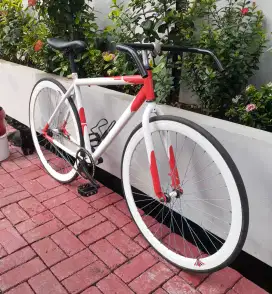 Sepeda Fixie Genio Rem Torpedo