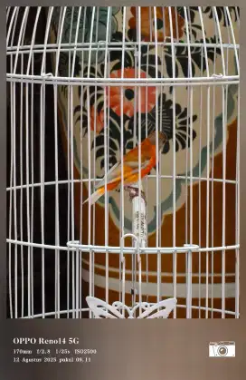 Redsiskin double dilute