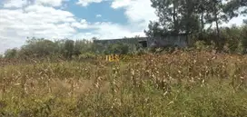Dijual Tanah Daerah Gajapokki (+/- 3,7 Km dari GKPS Ujung Purba)