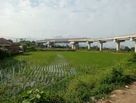 Jual cepat tanah sawah SHM tanpa perantara