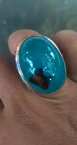 Bacan kembang Jumbo