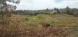 Dijual Tanah Daerah Gajapokki, Saribu Jandi - Simalungun