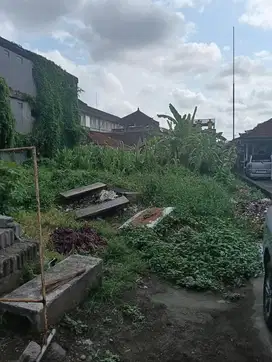 Dijual Tanah 1 Are Dekat Kampus Undiknas Panjer
