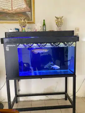 Jual aquarium dan isinya, fullset air rator dan meja