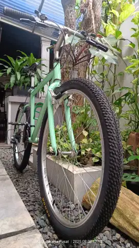 Mtb Vintage 26 Foremost