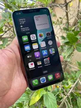 Iphone 11 promax 256