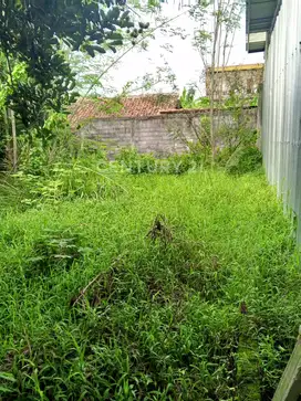 Tanah Strategis Siap Dikelola Di Subang Setelah Cikampek KM 98
