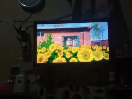 Polytron 24 inch (belum smart tv)