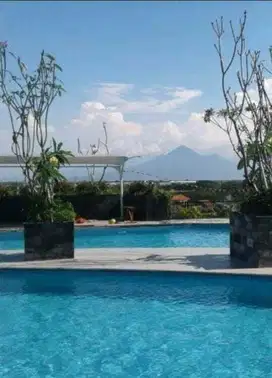 Jual Apertement Murah  Tamansari Kahuripan Nirwana Executive Sidoarjo