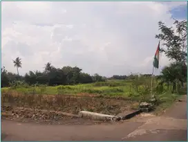 Tanah Murah Sleman SHM Legalitas Aman di Godean