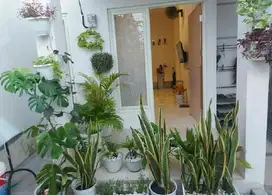 Rumah Dijual Surabaya Rumah Dijual Area GRAHA SURYANATA, Surabaya