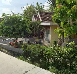 KELURAHAN MOJOREJO, KECAMATAN NGRAHO, BOJONEGORO