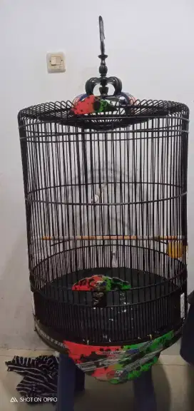 Dijual sangkar murai/barter kenari fullset yg udh rajin