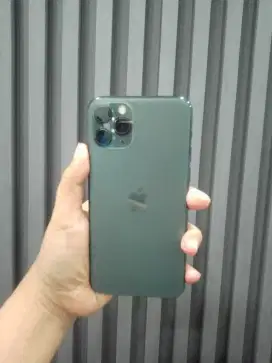 ip 11 pro 256gb inter