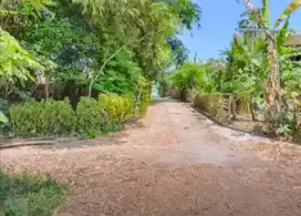 Tanah Bolon 1750Mt, Ld 70Mt, dekat Jalan Tentara Pelajar, Colomadu