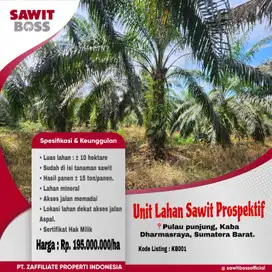 Jual lahan sawit di dharmasraya