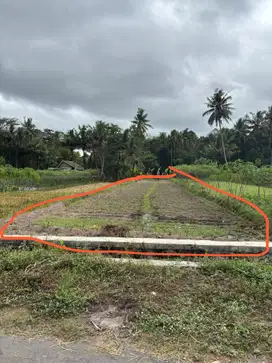 TANAH SAWAH MURAH STRATEGIS DI DAERAH MOROREJO TEMPEL SLEMAN YOGYA