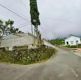 Tanah Kemuning 225Mt, Kebun Teh, Sky Hill, Ngargoyoso, Karang Anyar
