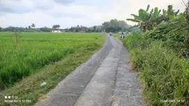 Dijual Sawah Dekat Kampung Di Godean Sleman Yogyakarta
