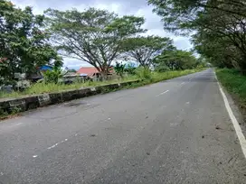Jual Tanah 2 Hektar di kab.Sorong Jln.Kontenet