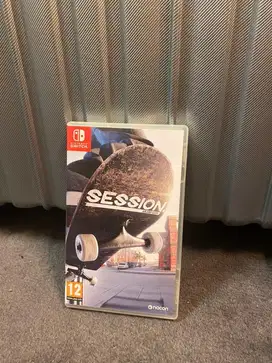 Skate session nintendo switch