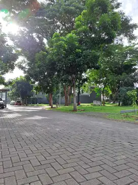 DISEWA RUMAH MEWAH FORESTA