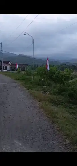 JUAL TANAH DI KARANGSARI PENGASIH KULONPROGO VIEW SAWAH