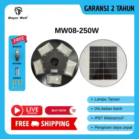 Lampu Jalan Tenaga Surya MW08-250W