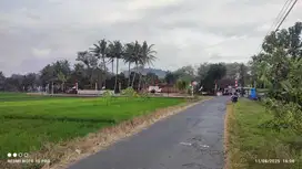 Dijual Sawah Pinggir Kampung Tepi Jalan Aspal Di Godean Yogyakarta