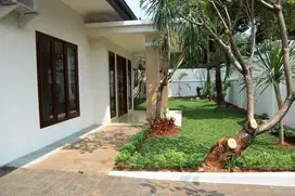 Rumah Asri Nyaman Ada Kolam Renang di Kemang Timur Jakarta Selatan