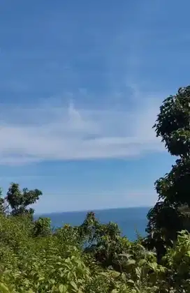 Tanah view pantai barat pantai Sadeng Gunungkidul