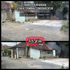 Tanag sangat nyaman dan strategis condongcatur cocok hunian