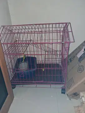 kandang kucing 2 tingkat