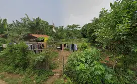 Tanah Parung Panjang Hidup