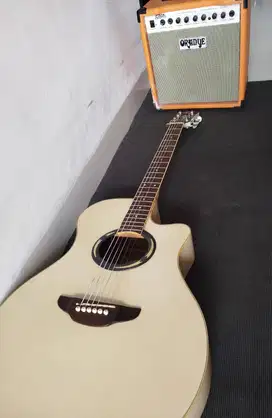 Dijual gitar yamaha apx 500 II