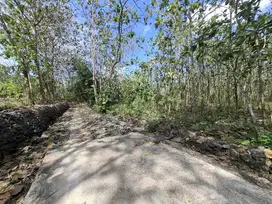 TANAH SHMP 2000m2 LD 30m, 8 menit dari Kampus UNY Gunungkidul