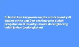 Karyawan laundry