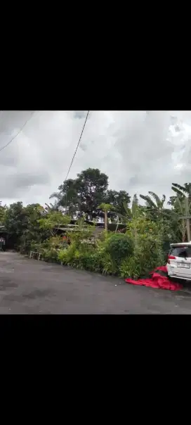 Dijual tanah murah 1,2 are di sading badung bali
