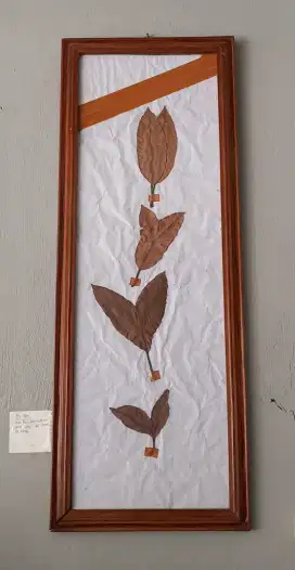 Daun mangga kembar