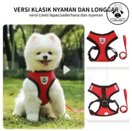 Jual tali kucing atau anjing
