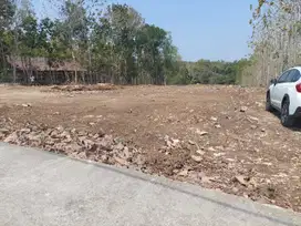 Tanah SHM 6000m2 di dekat Polres Kulonprogo