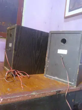 Sepeker sony 6in Model SS H313